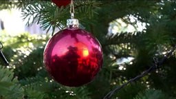 Eine rote Weihnachtskugel hängt in einem Tannenbaum. 
