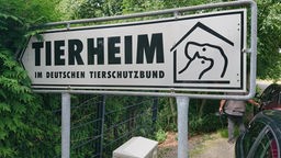 Ein Schild führt zum Tierheim. Es hat die Aufschrift: "Tierheim im Deutschen Tierschutzbund".