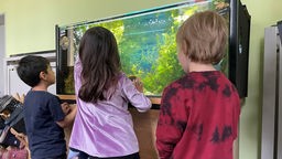 Die Kinder staunen in ein Aquarium hinein