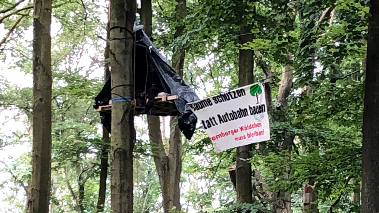 Das Bild zeigt ein Transparent von Aktivisten im Baum