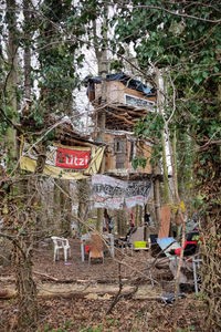 Campingstühle, bunte Banner und ein Baumhaus im Wald. Im Vordergrund Bäume mit Efeu.