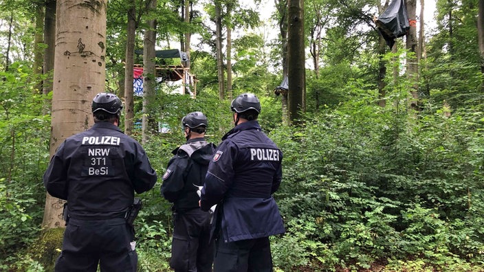 Drei Polizisten mit Helmen stehen im Wald, dahinter Plakate in den Bäumen.