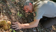 Nationalpark-Ranger Ralf Hilgers hat einen Speisepilz gefunden, eine Marone.