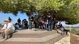 Reisegruppe unetrwegs in Israel steht mit Reiseführer unter einem Baum 