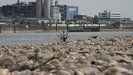 Currenta will riesige Mengen Grundwasser abpumpen