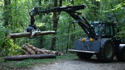 Stadt Bonn versperrt illegale Trails mit Baumstämmen.