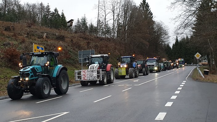 Ein Traktor-Konvoi auf einer Landstraße. An manchen Traktoren sind Plakate befestigt.
