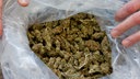 Mehrere Kilo beschlagnahmtes Marihuana