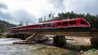 Bahn fährt über eine Brücke