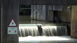 Auf dem Foto ist ein Wehr: Durch einen Absatz im Fluss entsteht ein kleiner Wasserfall. Daneben ist ein Schild mit der Aufschrift "Lebensgefahr".