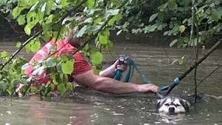 Auf dem Foto ist ein Hund zu sehen, der sich mit seiner Leine in einem Ast in einem Teich verfangen hat. Ein Feuerwehmann in rotem T-Shirt befreit ihn.
