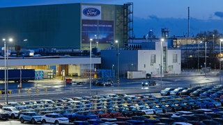 Elektroautos stehen auf dem Werksgelände der Ford-Werke