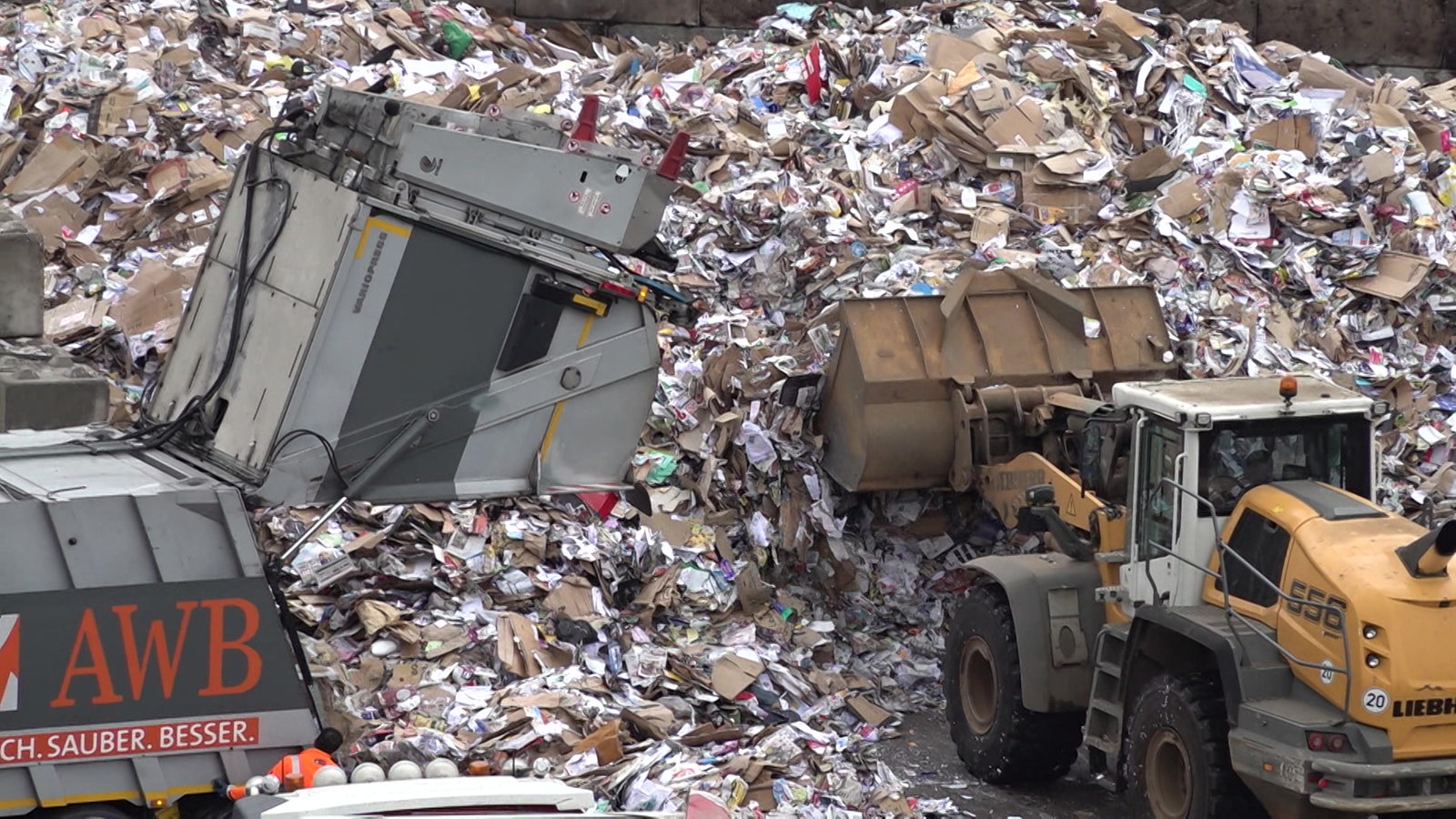 Fliegenplage Und Brandgefahr Im Kölner Recyclingbetrieb - Rheinland ...