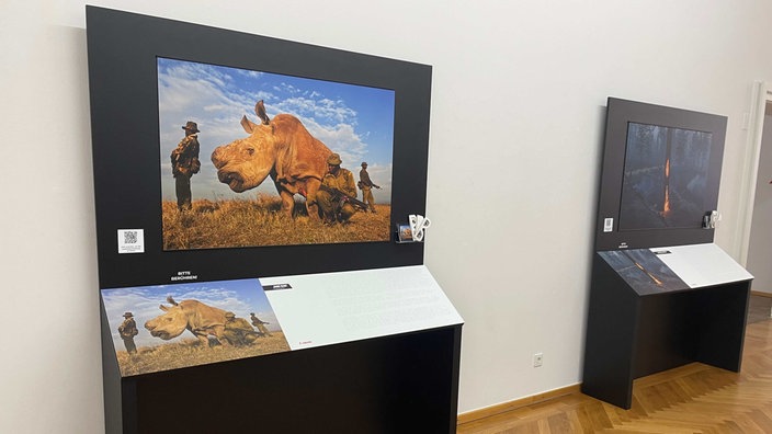 Die neue Fotoausstellung für Blinde im Düsseldorfer Stadtmuseum