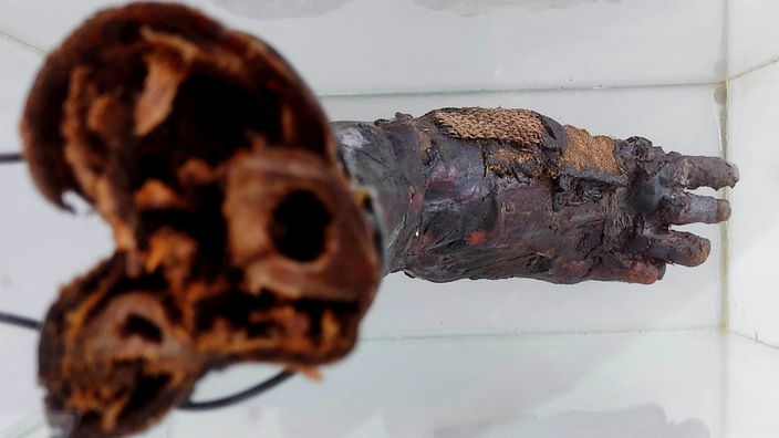 Der mumifizierte Fuß von oben, den ein Krefelder bei eBay verkaufen wollte.