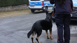 Polizeihund steht an der Leine eines Polizistenauf einer Straße. Im Hintergrund ein Polizeiauto.