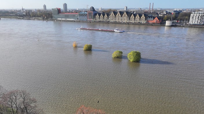 Ein Schiff fährt bei Köln auf dem Rhein, der die Rheinwiesen überflutet hat. 