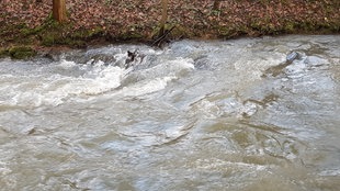 Wasserabgabe der Wupper-Talsperre