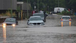 Mehrere Autos stehen auf einer überfluteten Straße.