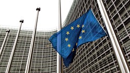 Die Flagge der Europäischen Union flattert im Wind