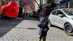 Kind mit Herzluftballon, im Hintergrund de Kirschblüten in der Bonner Altstadt