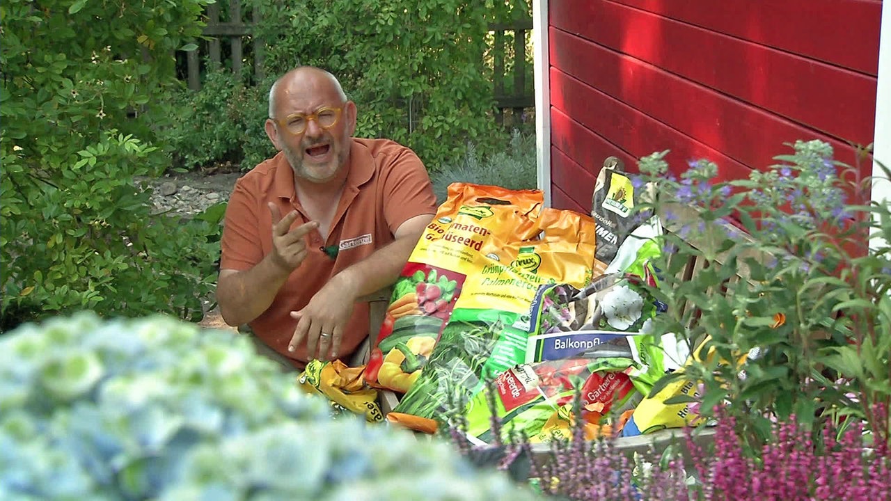 Gartenzeit Blumenerde Mediathek Wdr