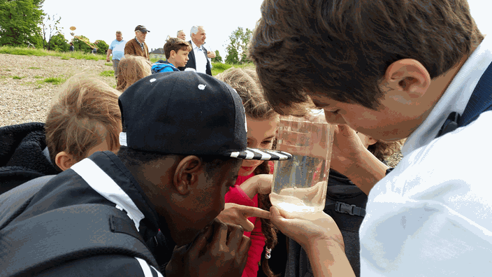 Schüler am Rhein im Wasser