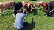 Ein Mann hockt vor einer Weide mit Kühen und streckt ihnen die Hand entgegen.