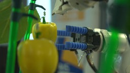 Der Arm des Roboters greift nach einer gelben Paprika.