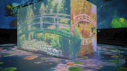 Ausstellung der Bewegtbilder von Claude Monet im Visiodrom