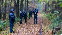 2016: Polizisten durchsuchen einen Wald im Vermisstenfall Dorota Galuszka