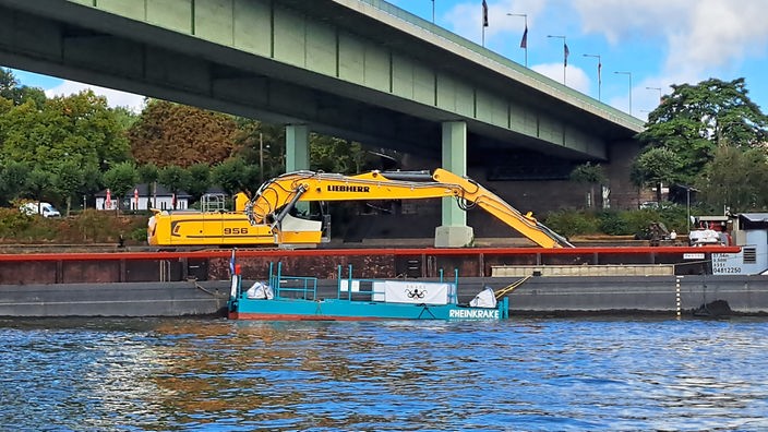 Müllfalle im Rhein bei Köln verankert