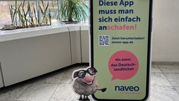 Pappaufsteller in Form eines Smartphones mit einer Reklame für die Naveo-App