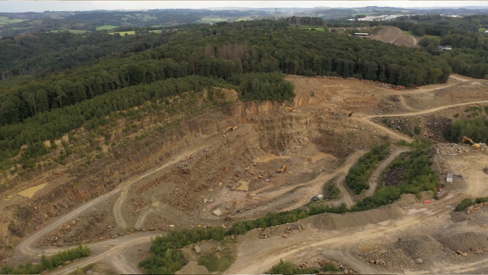 Der älteste Wald der Welt aus der Luft betrachtet