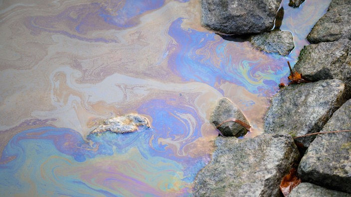 Nahaufnahme einer Wasseroberfläche, auf der eine Ölschicht liegt