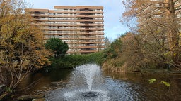 Die Fontäne im Wohnpark Bayenthal.