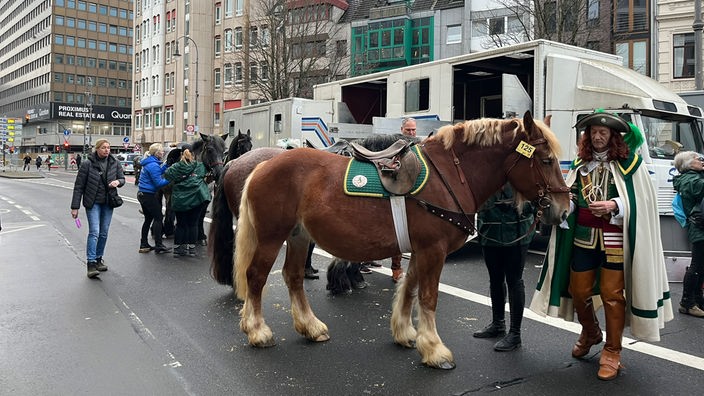 Pferde werden für den Rosenmontagsumzug in Köln untersucht.