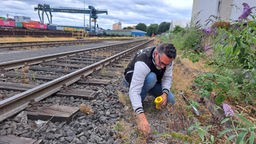 Mann sammelt am Rande von Bahnschienen Plastikkügelchen ein