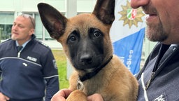 Polizeihundewelpe Thora auf dem Arm ihres Hundeführers