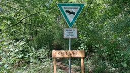 Schilder in einem Wald, die das Betreten des Naturschutzgebietes verbieten. 