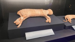 Die alten Ägypter mumifizierten viele ihrer Tiere