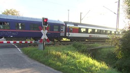 Ein Zug hält an einem Bahnübergang, das Signal zeigt Rot