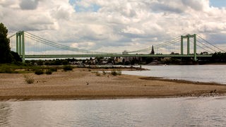 Die Rodenkirchener Brücke, im Vordergrund sind sehr trockene Ausläufer des Rheinufers zu sehen