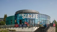 Zu sehen ist das Gebäude von Sea Life in Königswinter. Auf dem Gebäude steht groß "Sea Life" und die Scheiben sind mit Meerestieren bedruckt.