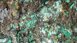 Auf dem Bild ist das Mineral Katerinopoulosit zu sehen. Dieses ist auf einer Felswand und hat eine Grün/Türkise Farbe.