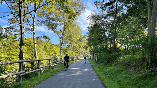 Radfahrer fahren bei schönem Wetter auf einem Radweg durch den Wald.