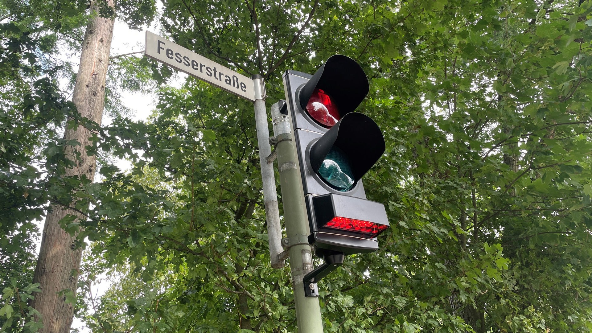 Smartphone-Ampel in Neuss soll Fußgänger schützen - Rheinland -  Nachrichten - WDR
