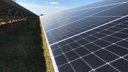 Die Solarzellen auf einer Wiese in Jülich