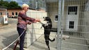 Helga Berben, Vorsitzende des Tierschutzvereins für den Rhein-Sieg-Kreis, freut sich über die Steuerbefreiung für ältere Tierheimhunde