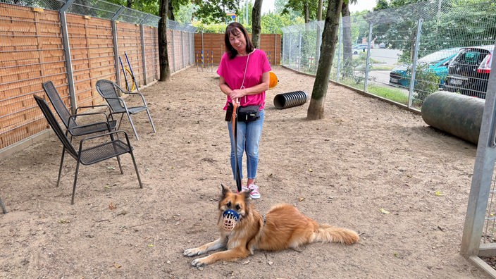 Die Initiatorin für die Steuerbefreiung älterer Tierheimhunde in Eitorf, Stefanie Schönenberg-Klein (CDU) mit ihrem Hund Gismo